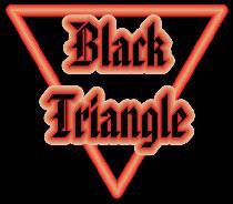 logo Black Triangle